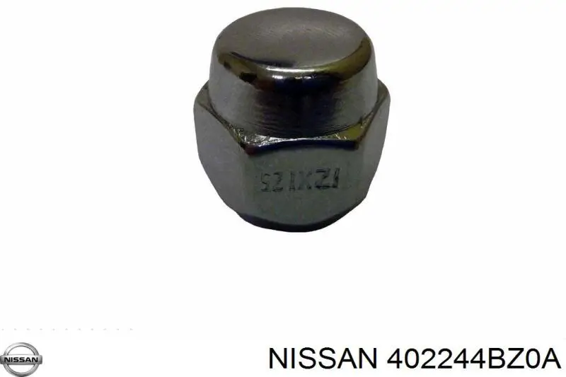 402244BZ0A Nissan