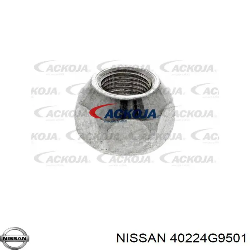 Tuerca seguridad de rueda para Nissan Terrano (R20)