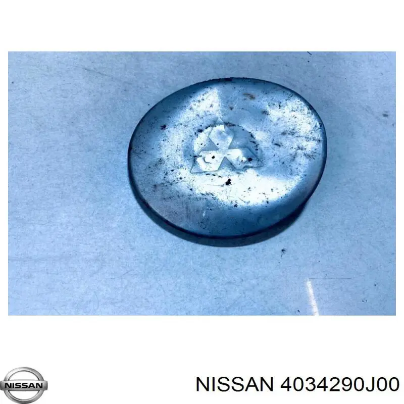 4034290J00 Nissan