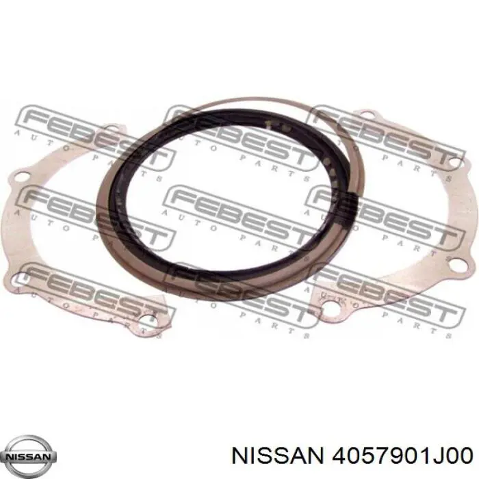 Retén del muñón de dirección delantero Nissan/Infiniti 4057901J00 precio, desde 15,70 EUR