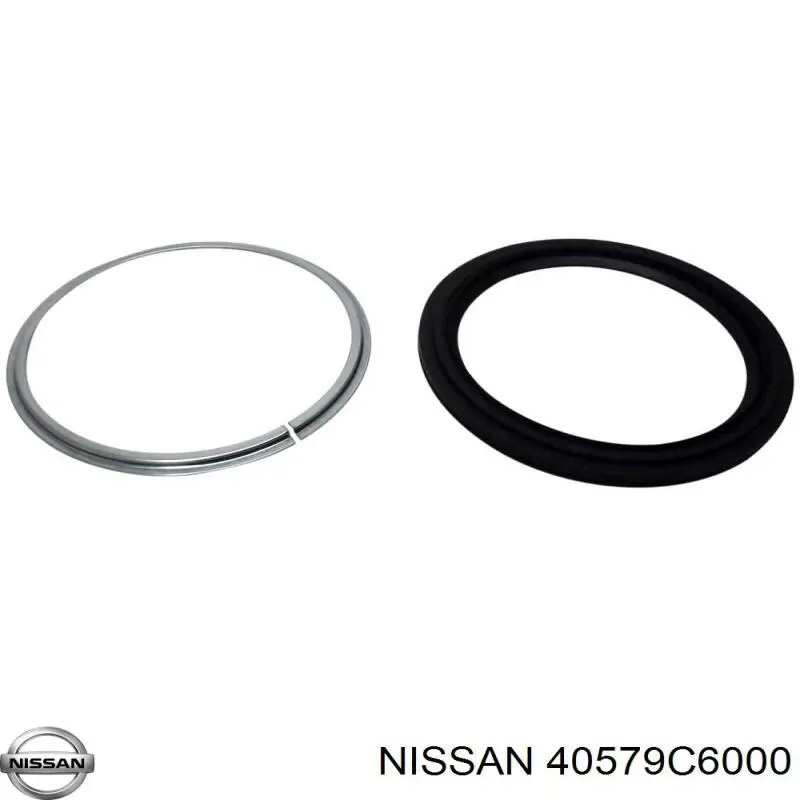 Retén del muñón de dirección delantero 40579C6000 Nissan/Infiniti
