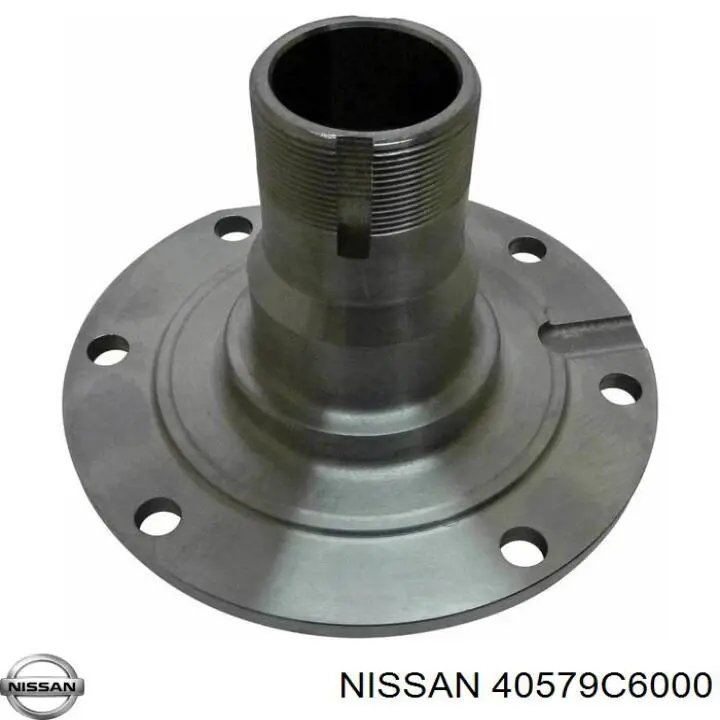 40579C6000 Nissan/Infiniti Retén del muñón de dirección delantero