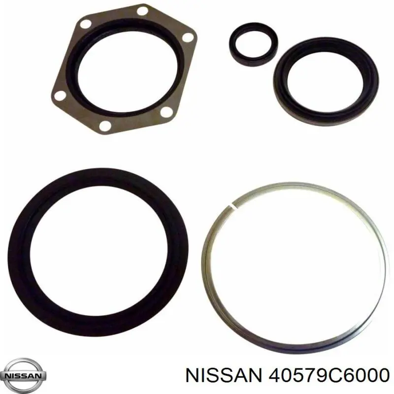 Retén del muñón de dirección delantero 40579C6000 Nissan/Infiniti