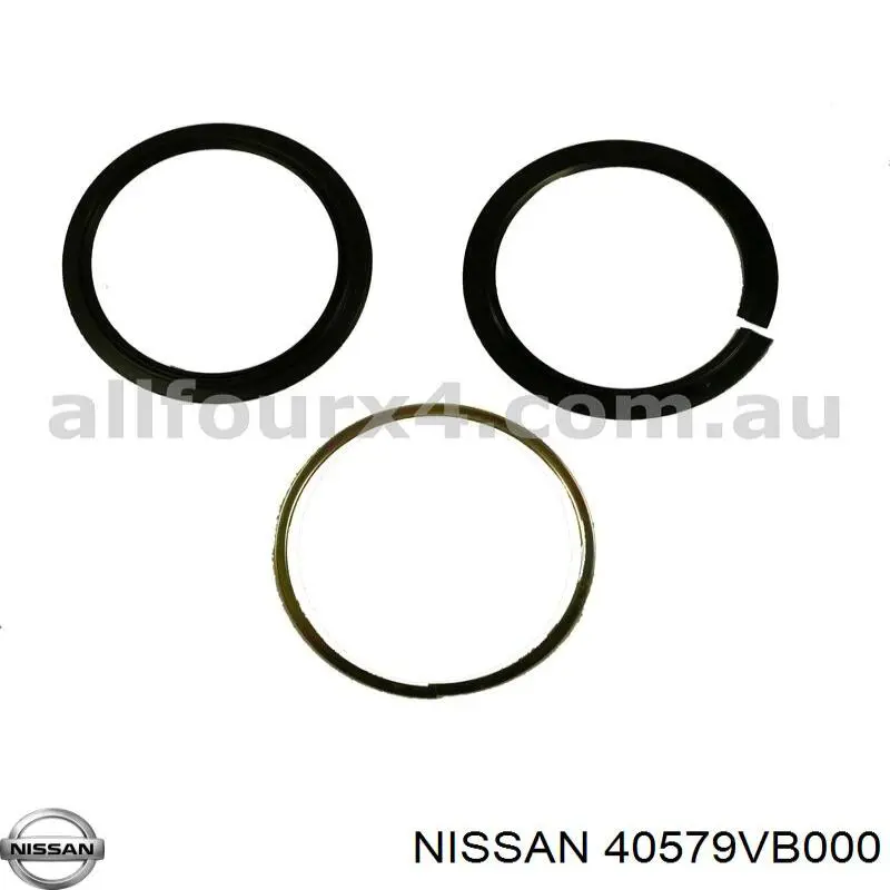 40579VB000 Nissan/Infiniti Retén del muñón de dirección delantero