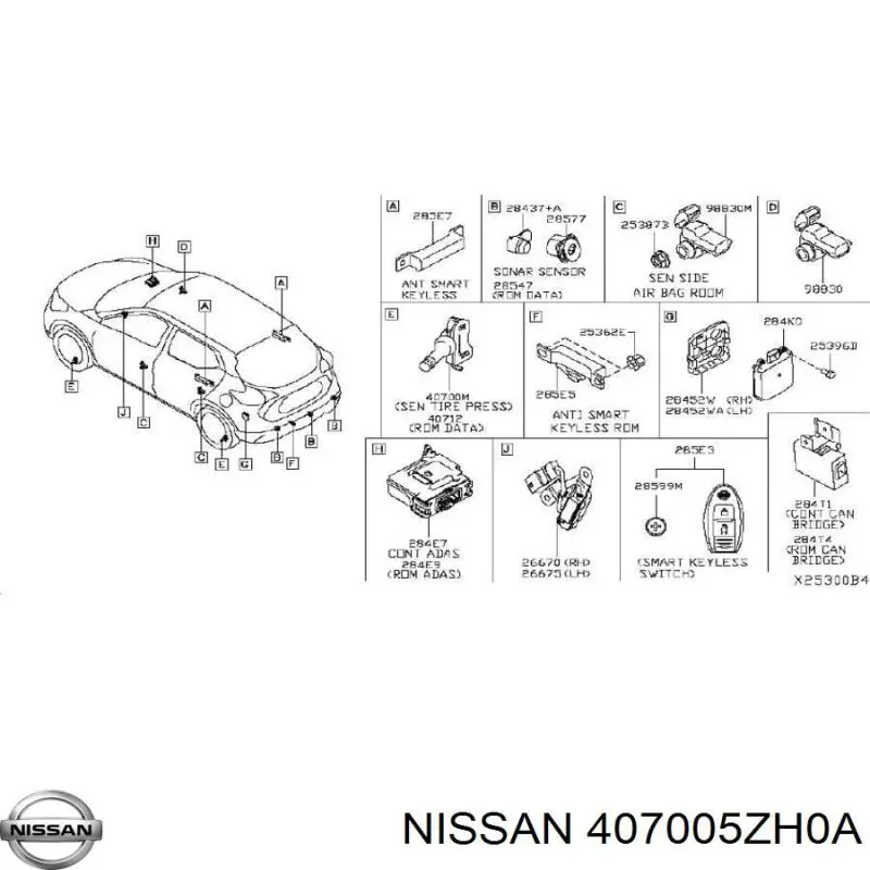 407005ZH0A Nissan