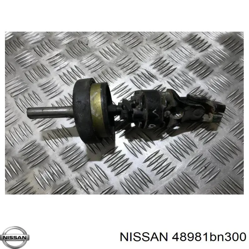  Nissan/Infiniti 48981BN300 precio, desde 23,80 EUR