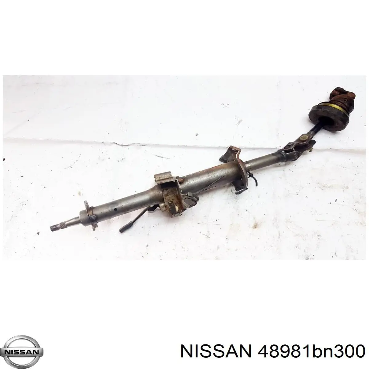 48981BN300 Nissan/Infiniti 