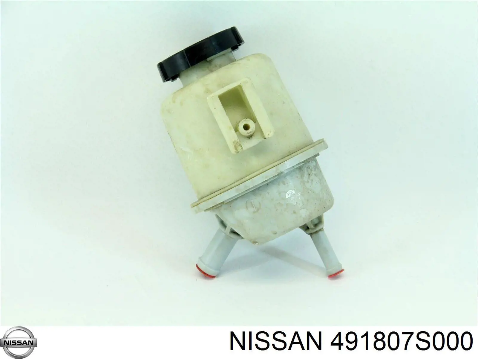 491807S000 Nissan