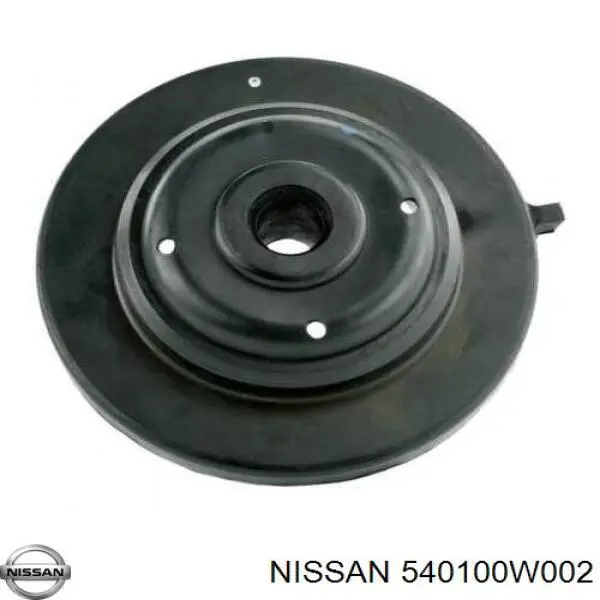 Muelles delantero Nissan Pathfinder 