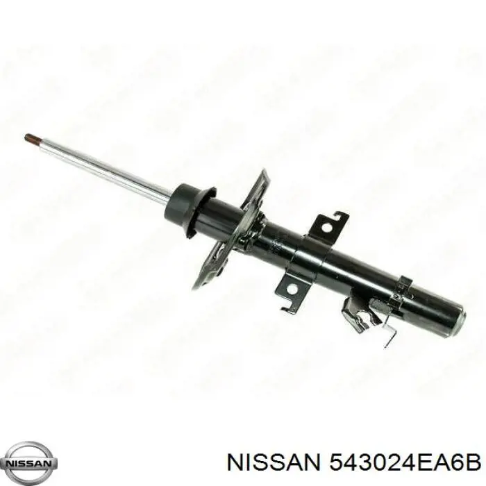 543024EA6B Nissan amortiguador delantero derecho