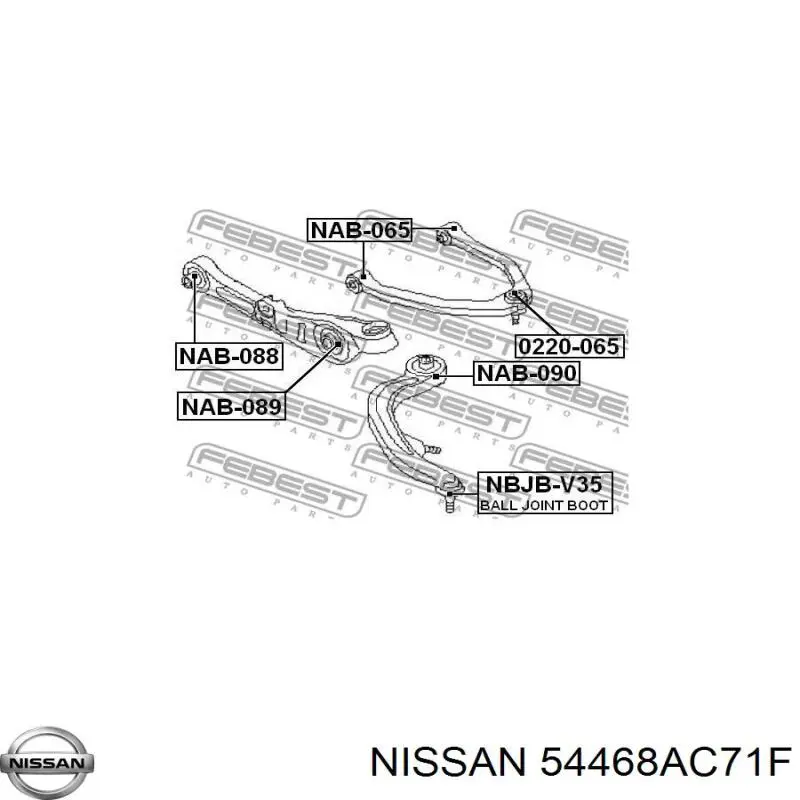 54468AC71F Nissan barra oscilante, suspensión de ruedas delantera, inferior derecha