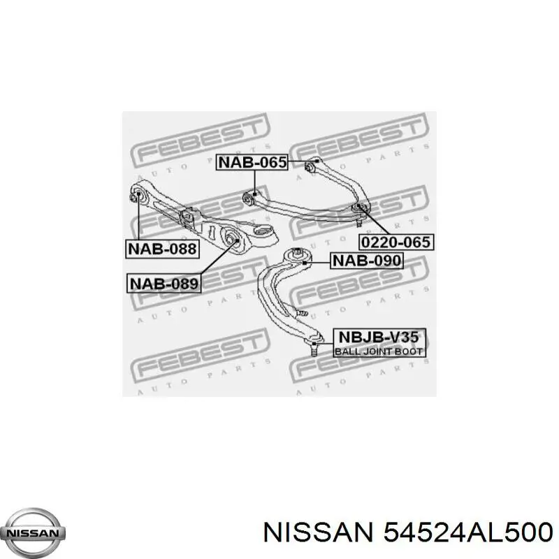 54524AL500 Nissan/Infiniti Brazo superior derecho de la suspensión delantera