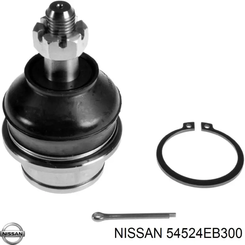 Brazo superior derecho de la suspensión delantera Nissan/Infiniti 54524EB300 precio, desde 53,78 EUR