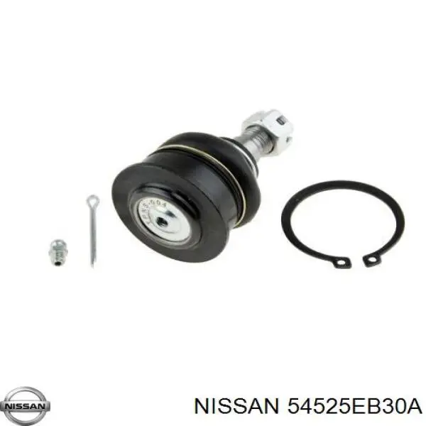 Brazo de suspensión delantera, superior izquierda Nissan/Infiniti 54525EB30A