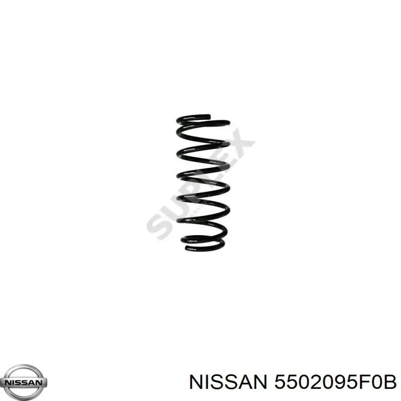 5502095F0B Nissan muelle de suspensión eje trasero