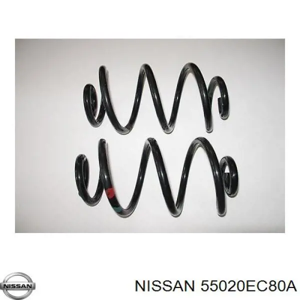 55020EC80A Nissan muelle de suspensión eje trasero