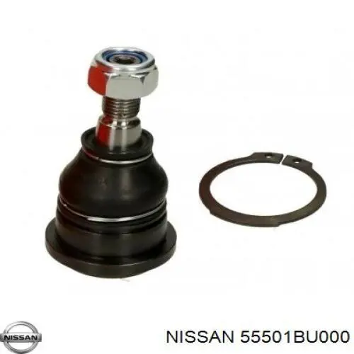 55501BU000 Nissan