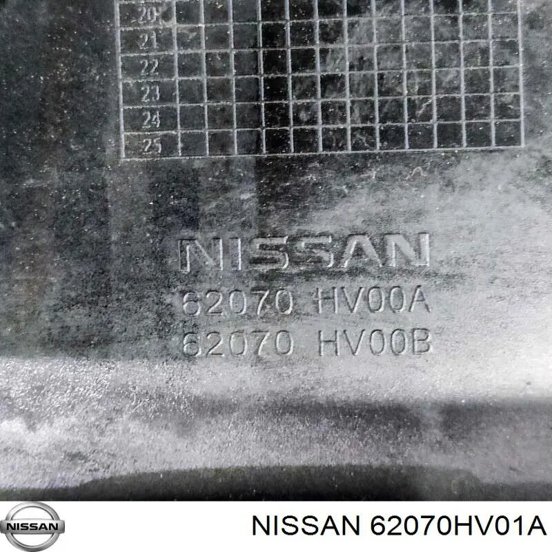 Moldura central del parachoques delantero 62070HV01A Nissan/Infiniti