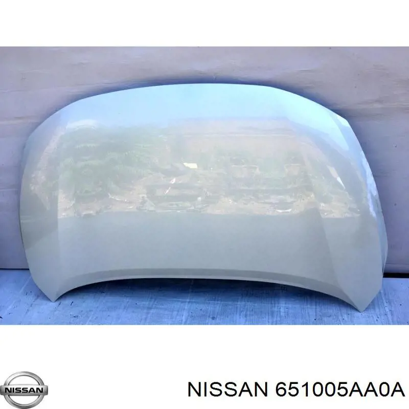 651005AA0A Nissan capó