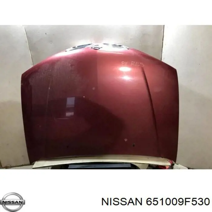 651009F531 Nissan capó