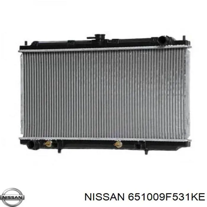 651009F531KE Nissan capó del motor