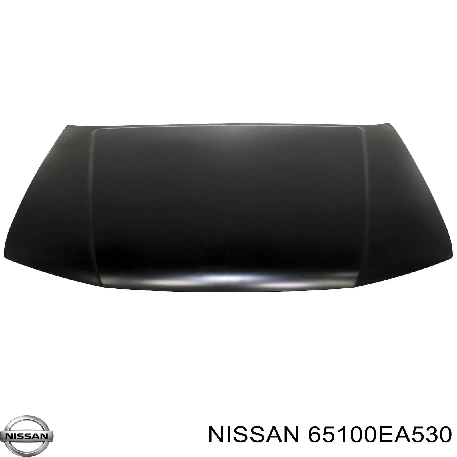 65100EA530 Nissan/Infiniti Capó delantero