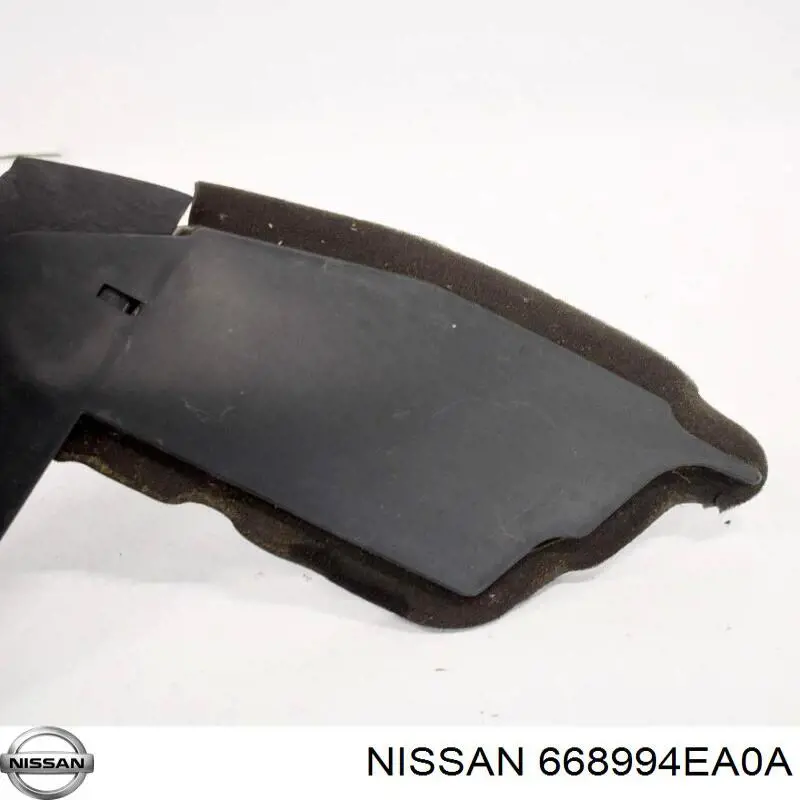 668994EA0A Nissan