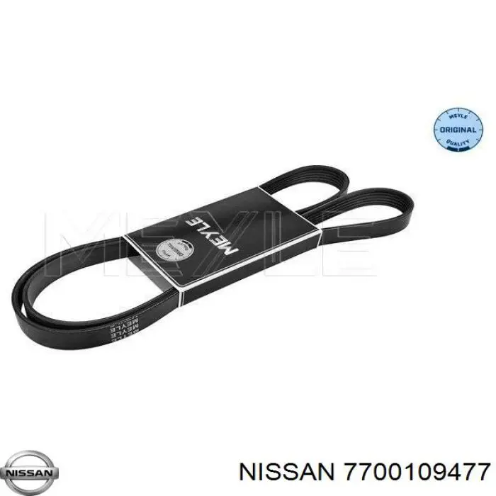 7700109477 Nissan/Infiniti Correa poly v