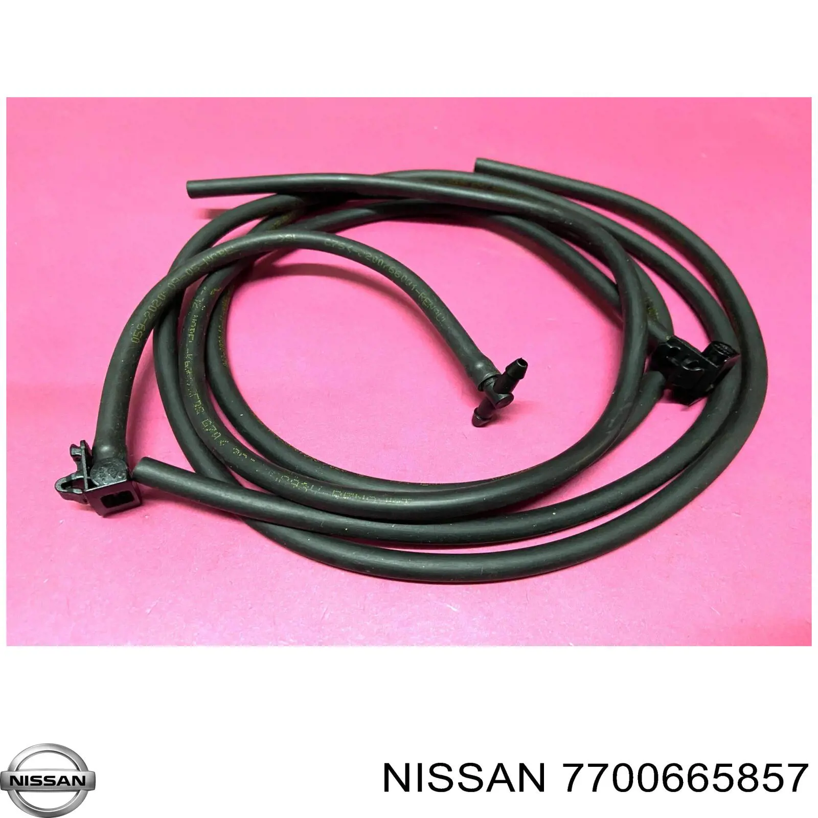Manguera del lavaparabrisas Renault (RVI) 7700665857 precio, desde 7,56 EUR