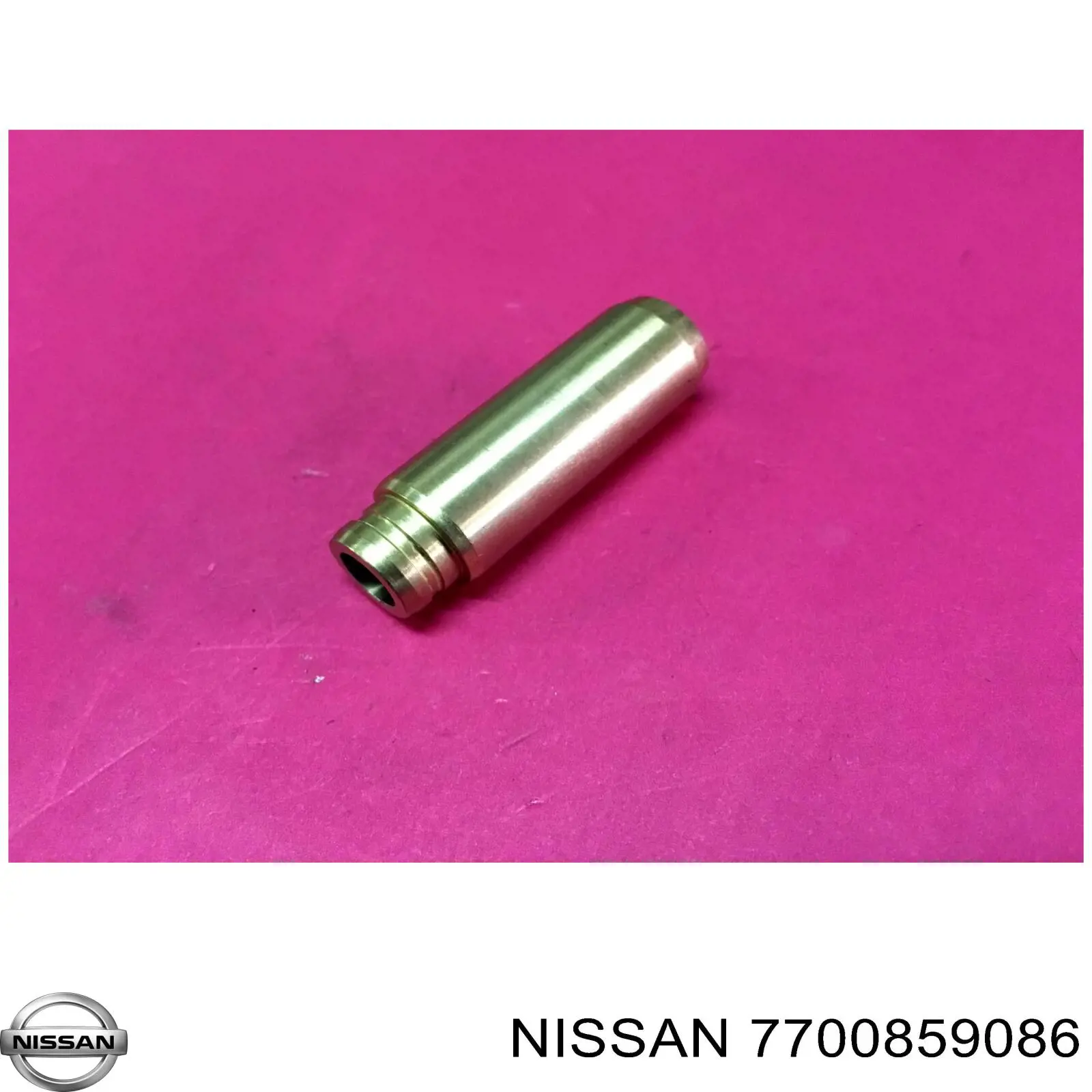 7700859086 Nissan/Infiniti Guía de válvula de admisión