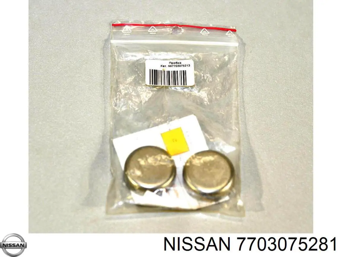 7703075281 Nissan/Infiniti Tapa de bloque motor