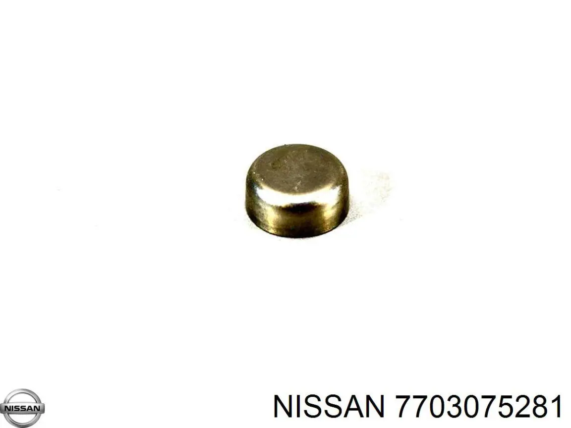 7703075281 Nissan/Infiniti Tapa de bloque motor