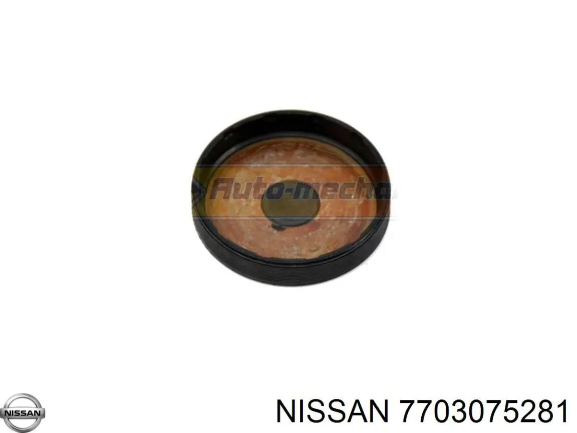 Tapa de cilindro Nissan/Infiniti 7703075281 precio, desde 2,84 EUR