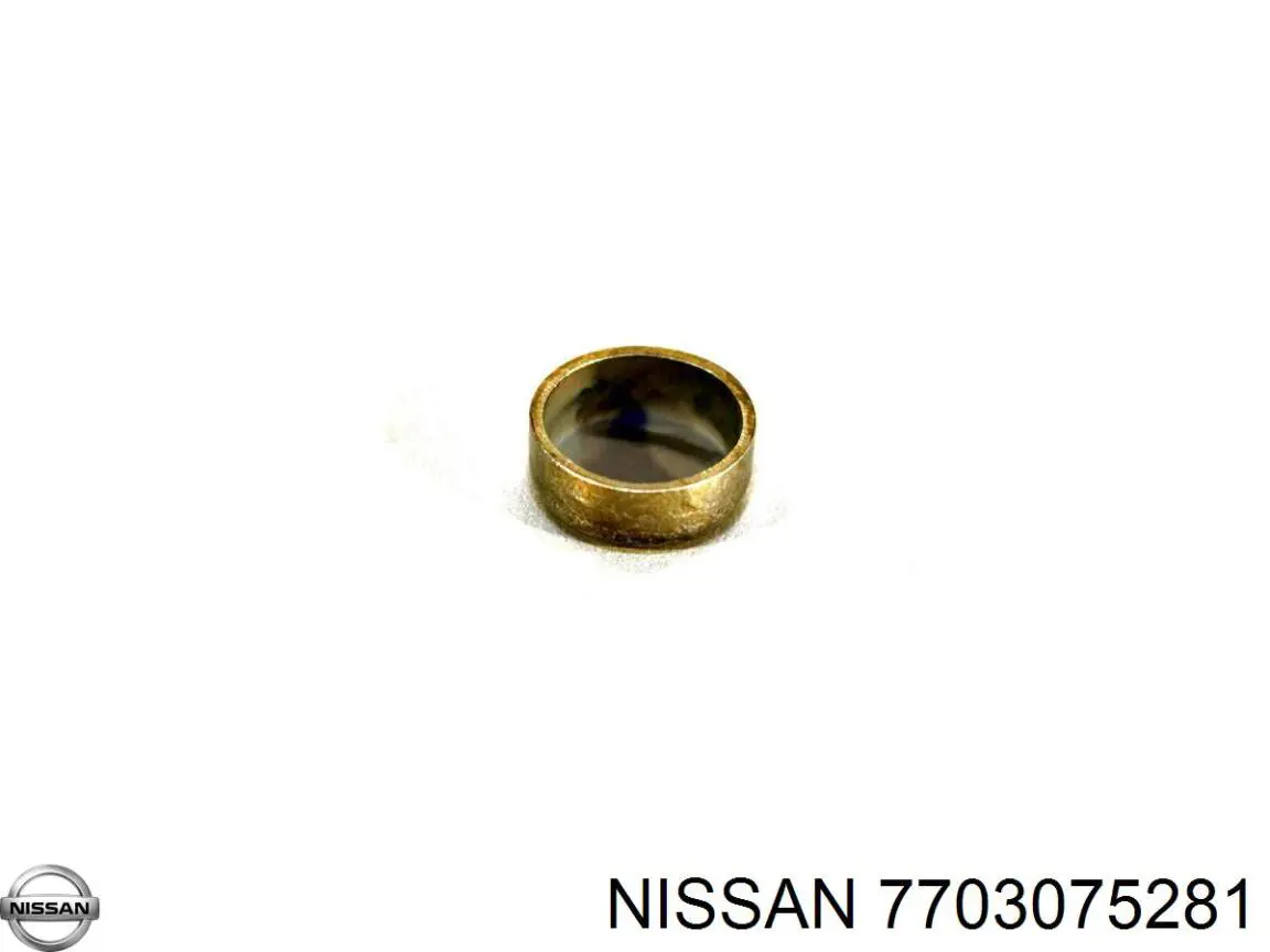 Comprar 7703075281 Nissan/Infiniti Tapon culata