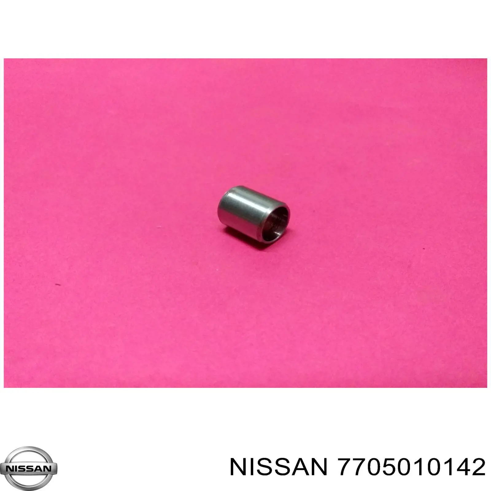 7705010142 Nissan