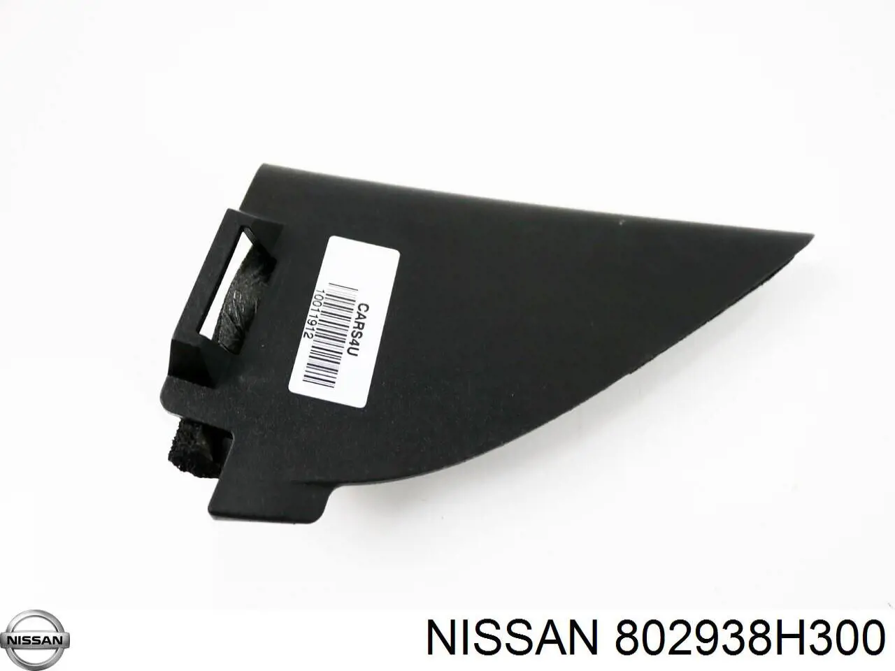 802938H300 Nissan