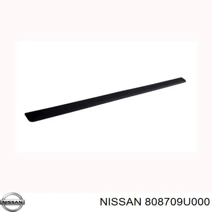 Listón embellecedor de puerta delantera derecha para Nissan Note (E11)