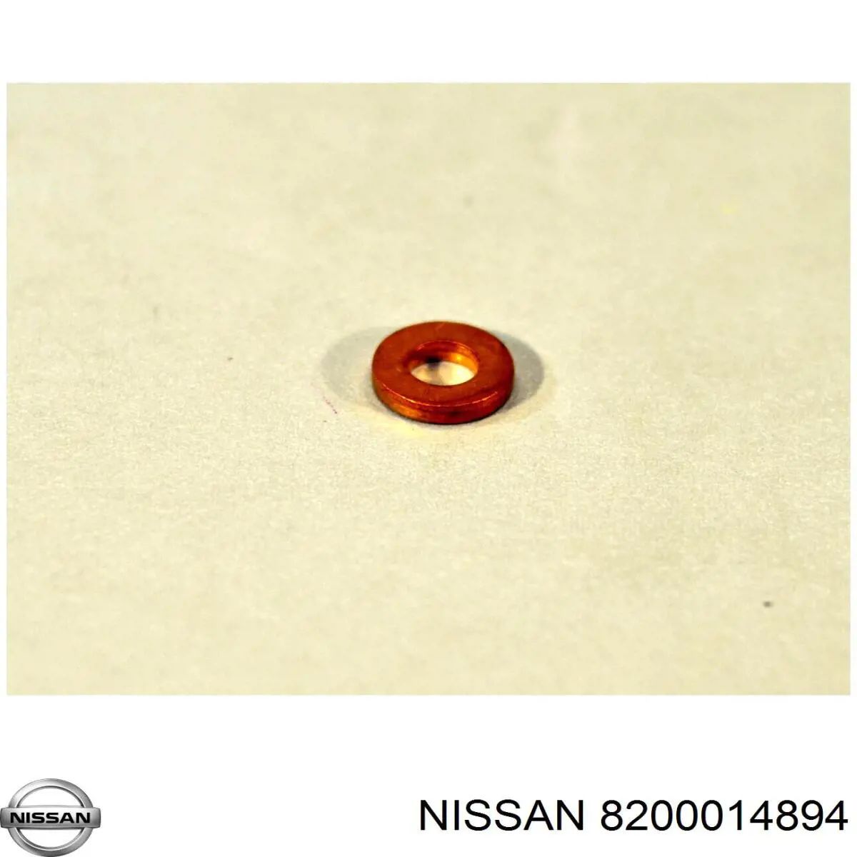 8200014894 Nissan