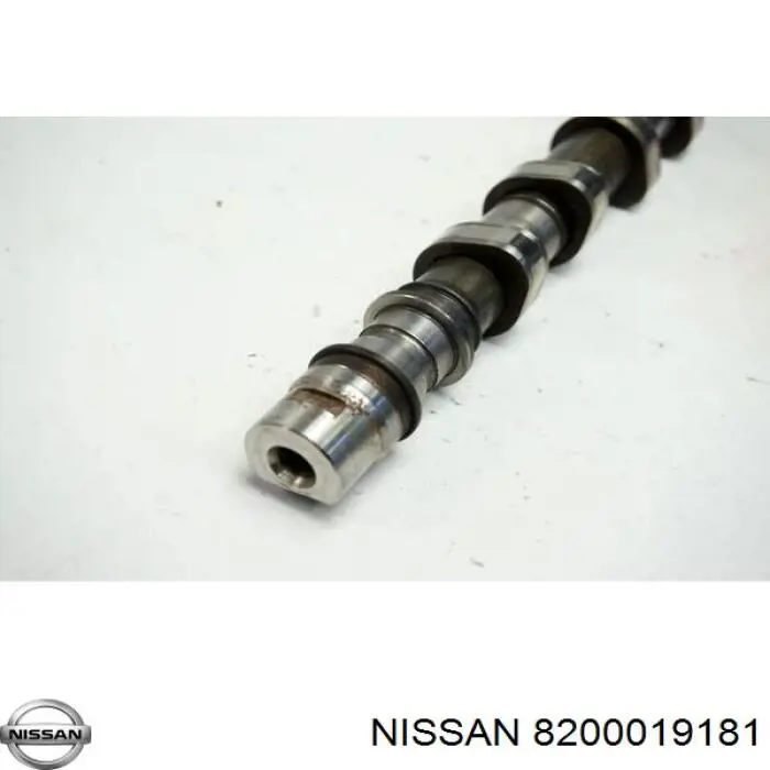 8200019181 Nissan árbol de levas admisión