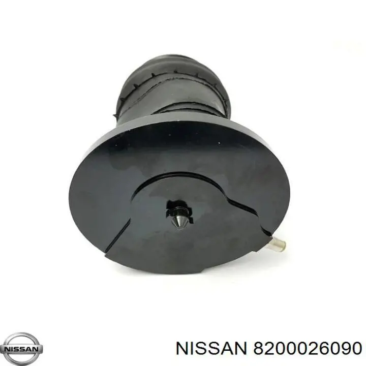 5501900QAA Nissan muelle neumático, suspensión, eje trasero
