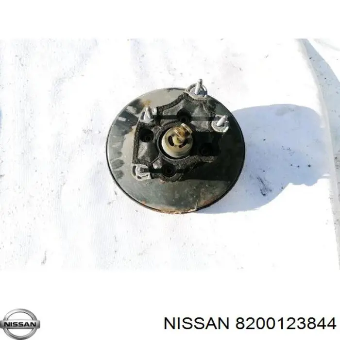  8200123844 Nissan/Infiniti