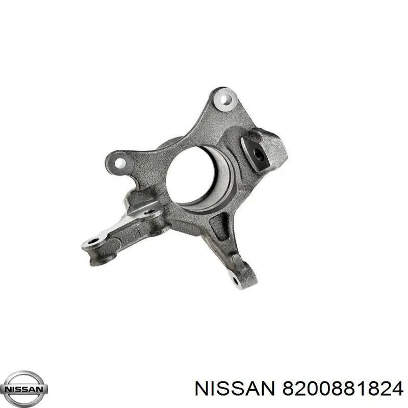 8200881824 Nissan muñón del eje, suspensión de rueda, delantero izquierdo