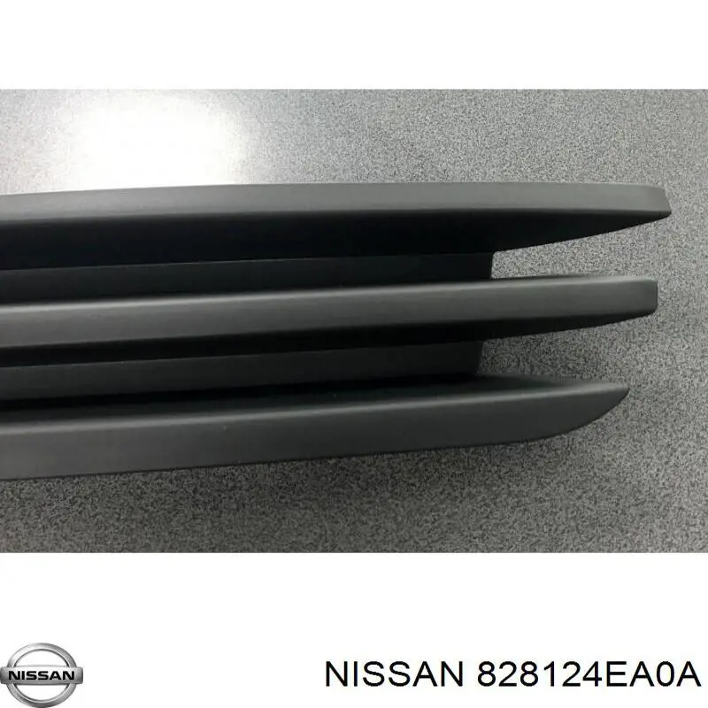 828124EA0A Nissan