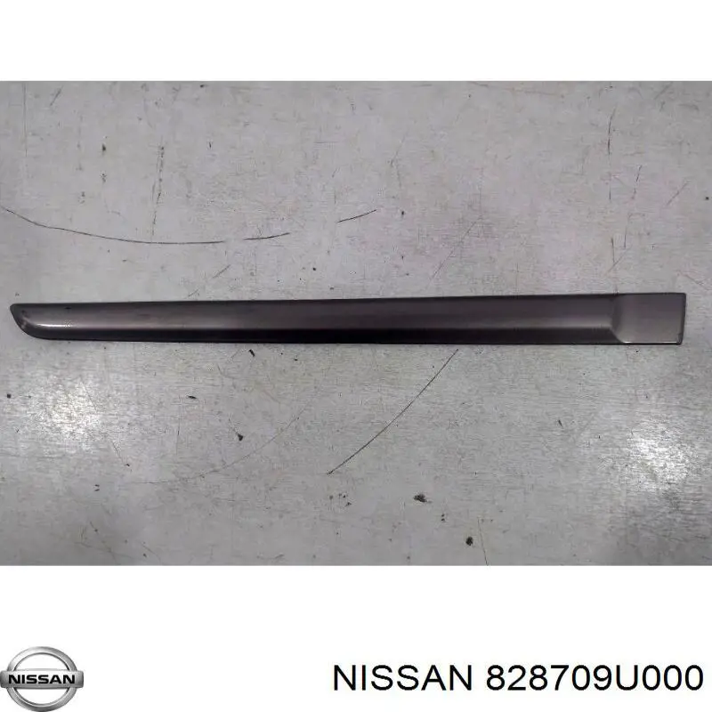 Moldura puerta trasera derecha para Nissan Note (E11)