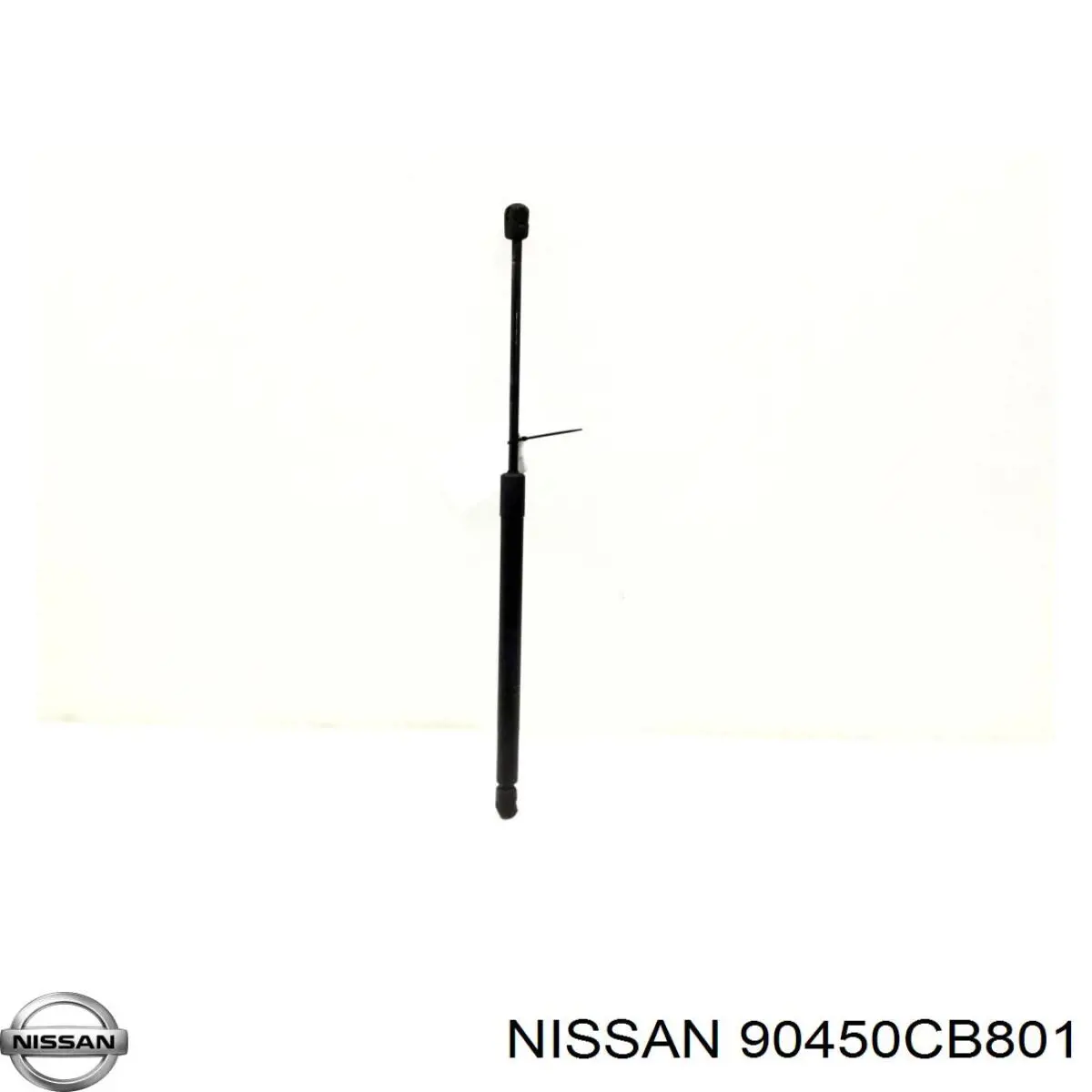 Amortiguadores maletero Nissan Murano Z50