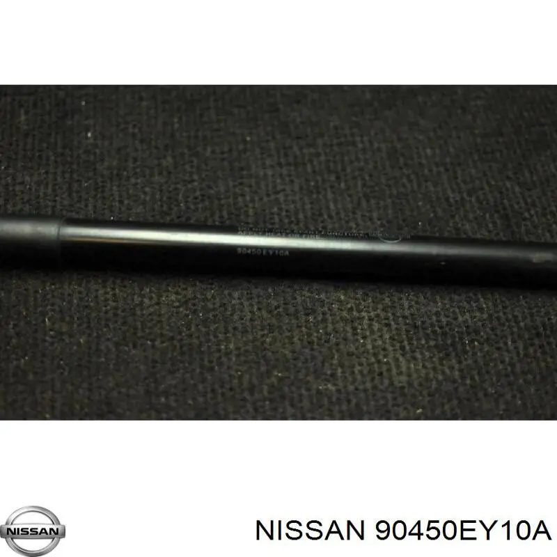 Amortiguadores maletero Nissan Qashqai +2 
