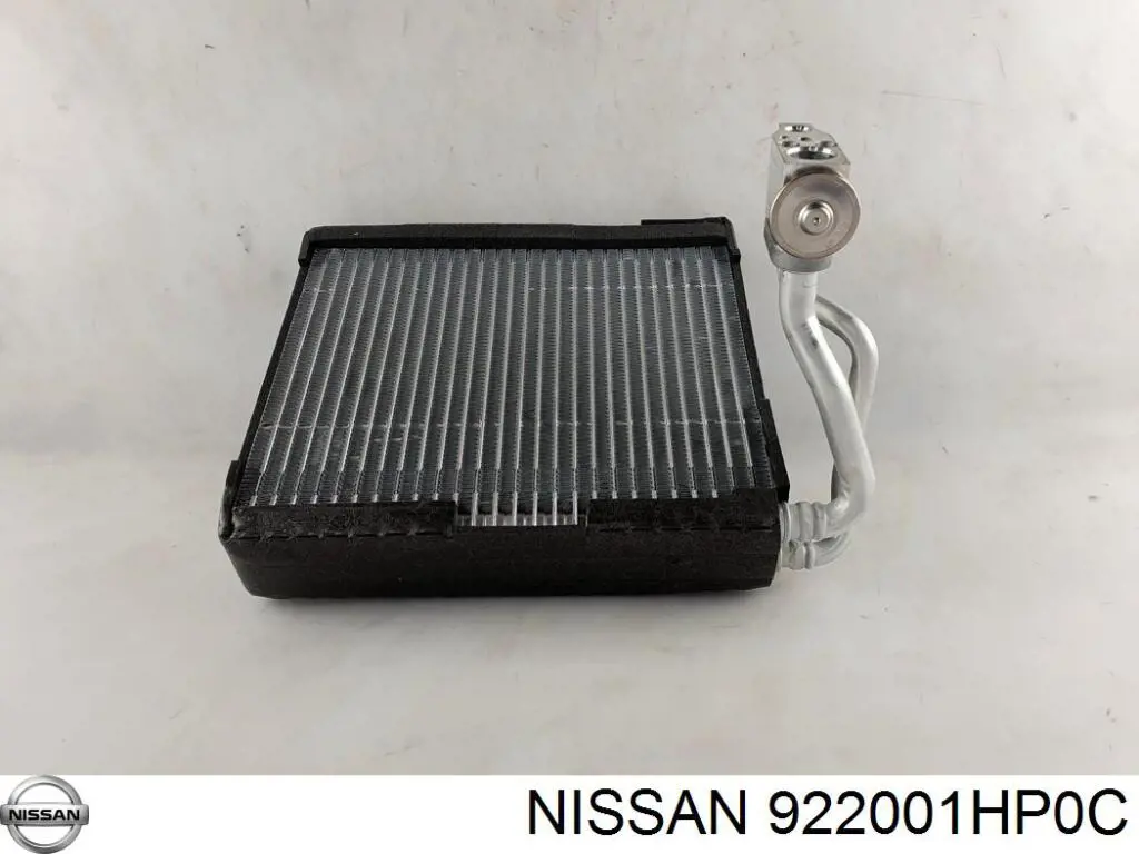 922001HP0C Nissan válvula de expansión, aire acondicionado