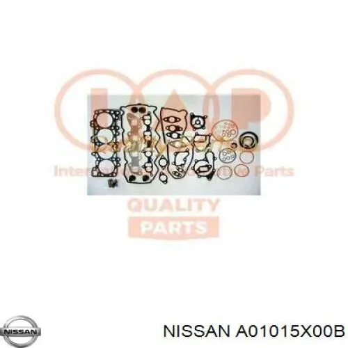 A01015X00A Nissan