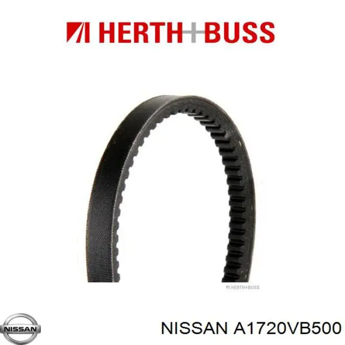 Correa de transmisión trapezoidal Nissan/Infiniti 11720VB5X0 precio, desde 10,13 EUR