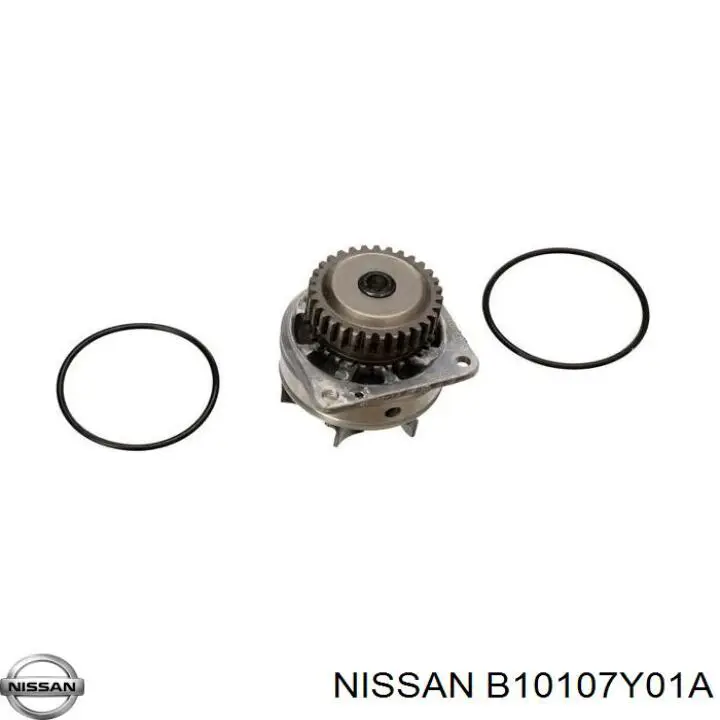 B10107Y01A Nissan bomba de agua